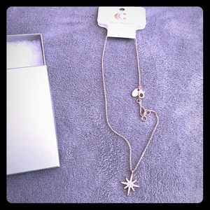 Hypo-Allergenic Rose-Gold necklace